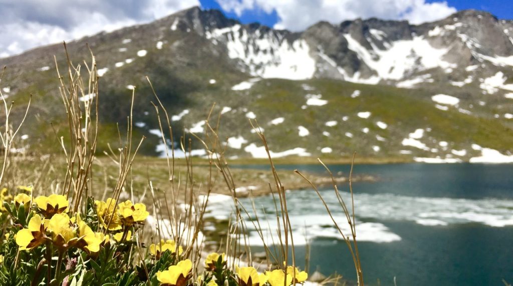 Don’t follow your&nbsp;passions